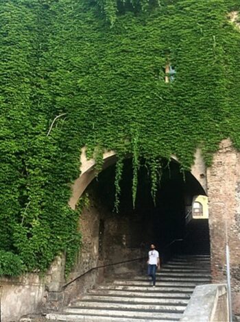 Now THAT's a wall of ivy! I swear, I didn't ask that man to walk down the steps for me.